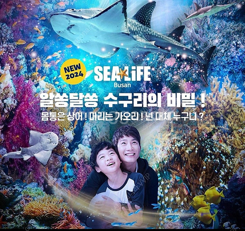 (빠른거래) 부산 아쿠아리움 씨라이프 아쿠아리움--0