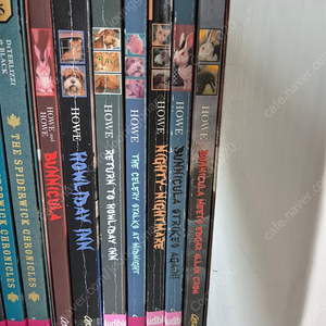 Bunnicula 버니큘라 7권