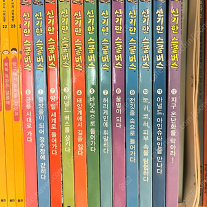 신기한 스쿨버스 콜디건 (20주년 기념 개정판) 전 12권