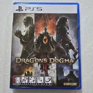 ps5 드래곤즈 도그마2