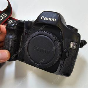 캐논 eos 5d
