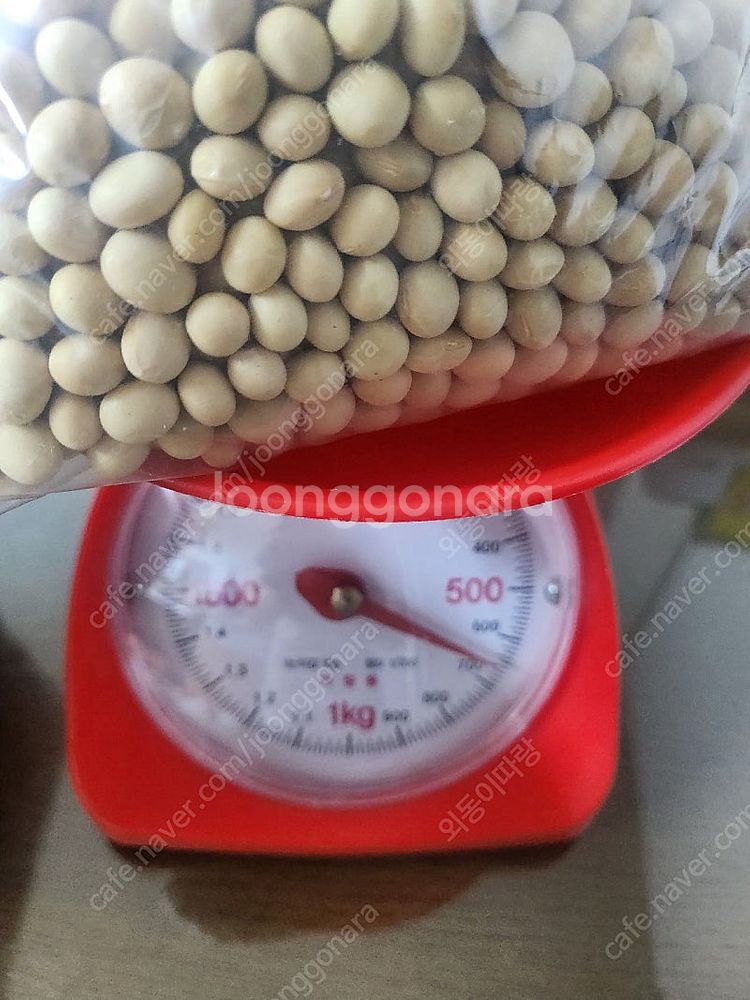 영주서리태ㆍ콩가루ㆍ노란콩--3