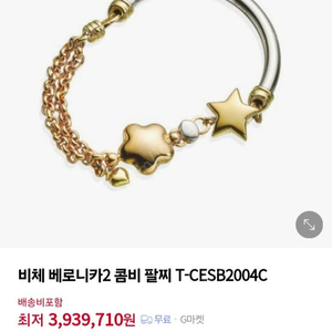 비체팔찌