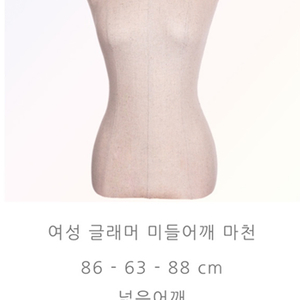 홍대 의류매장에서 사용하던 여성 상반 마네킹 판매합니다.
