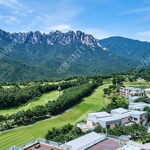 (어린이날) 5/3,4,5일 델피노/쏘라노/거제/변산/천안/단양 가실분~