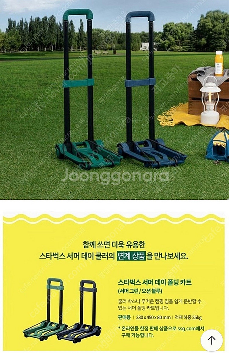 스타벅스 아이스박스 (써머데이 쿨러) 핑크, 핑크밴드워...--8