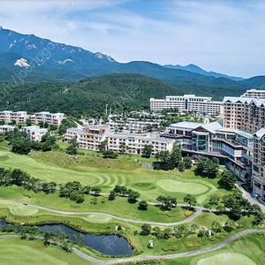 (4월~5월) 델피노소노문.캄.벨.펠리체.쏠비치양양.삼척.진도.비발디파크