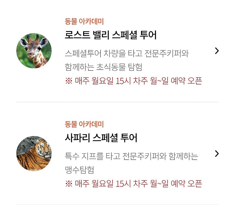 에버랜드 사파리스페셜투어 로스트밸리스페셜투어 4월달--0
