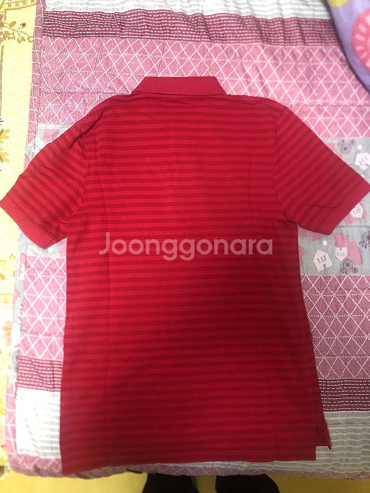 아스날 폴로--1