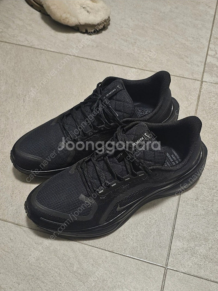 나이키 페기수스41고어텍스 280mm 판매합니다--0