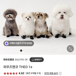 구매가 65,000원) 파우즈앤코 강아지 신발