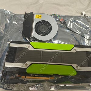 테슬라 Tesla p40 24g