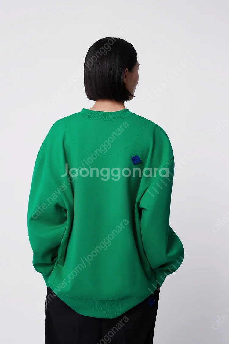 자라 x 아더에러 콜라보 맨투맨 스웻셔츠 그린 자더에러...--1