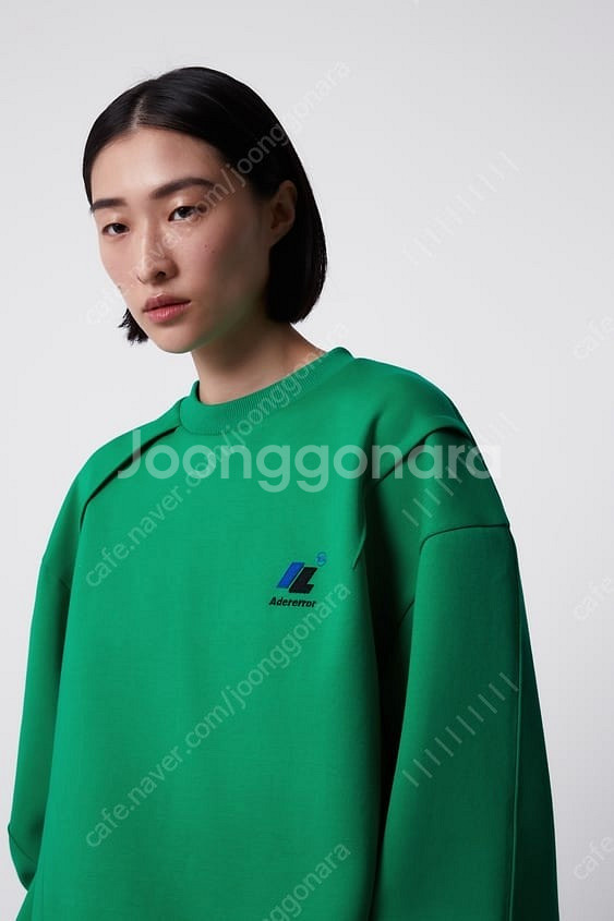 자라 x 아더에러 콜라보 맨투맨 스웻셔츠 그린 자더에러...--2