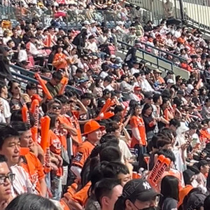 4월17일 ssg랜더스 한화 3루응원지정석티켓양도