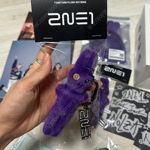 미개봉 새상품)2ne1 투애니원 탐탐이 키링