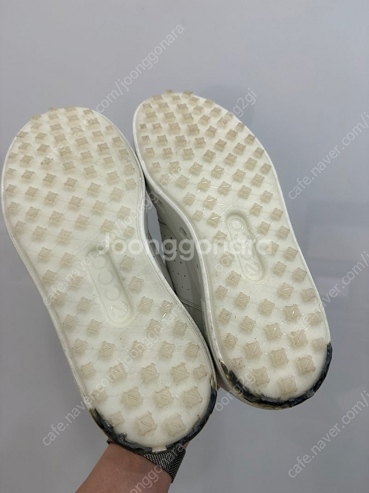 에코 남자 골프화(280)--2