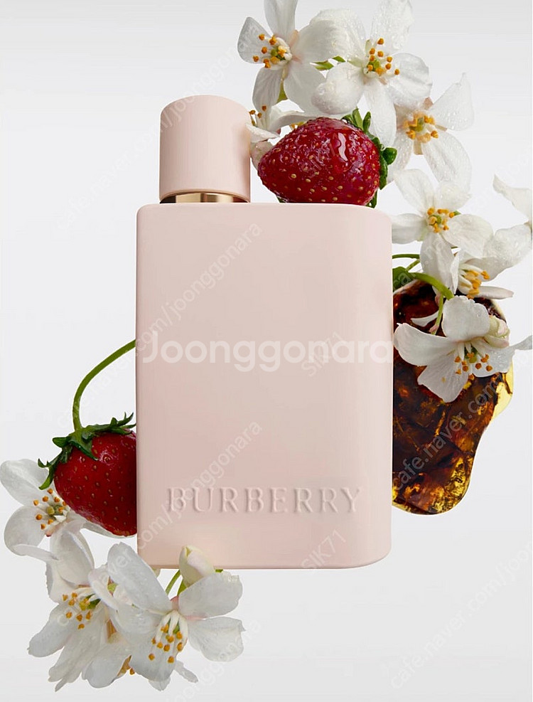 버버리 허 HER EDP Intense 향수 30ml--0
