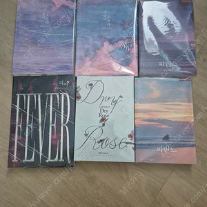 별보라 - 드라이로즈 개인지 외