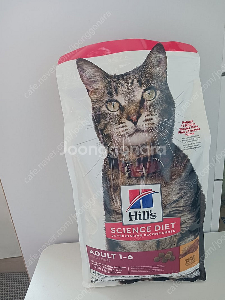 고양이사료 힐스 어덜트 2kg--0