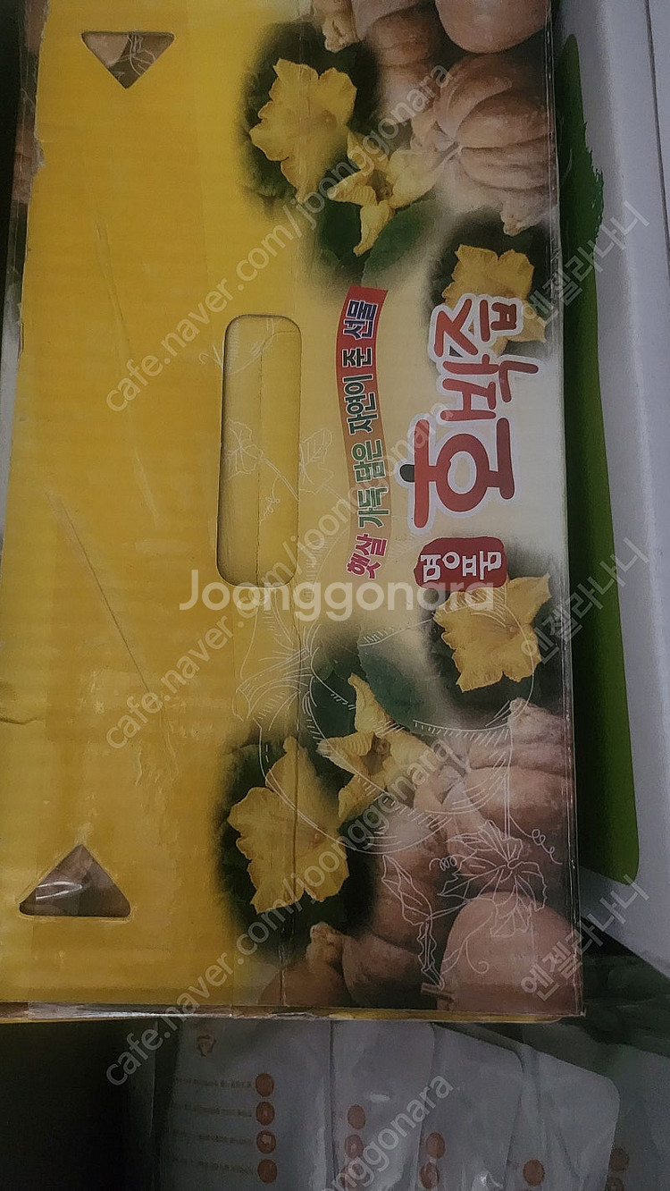 홍삼--0