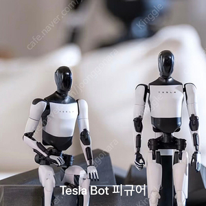 테슬라 AI 봇 피규어 팝니다