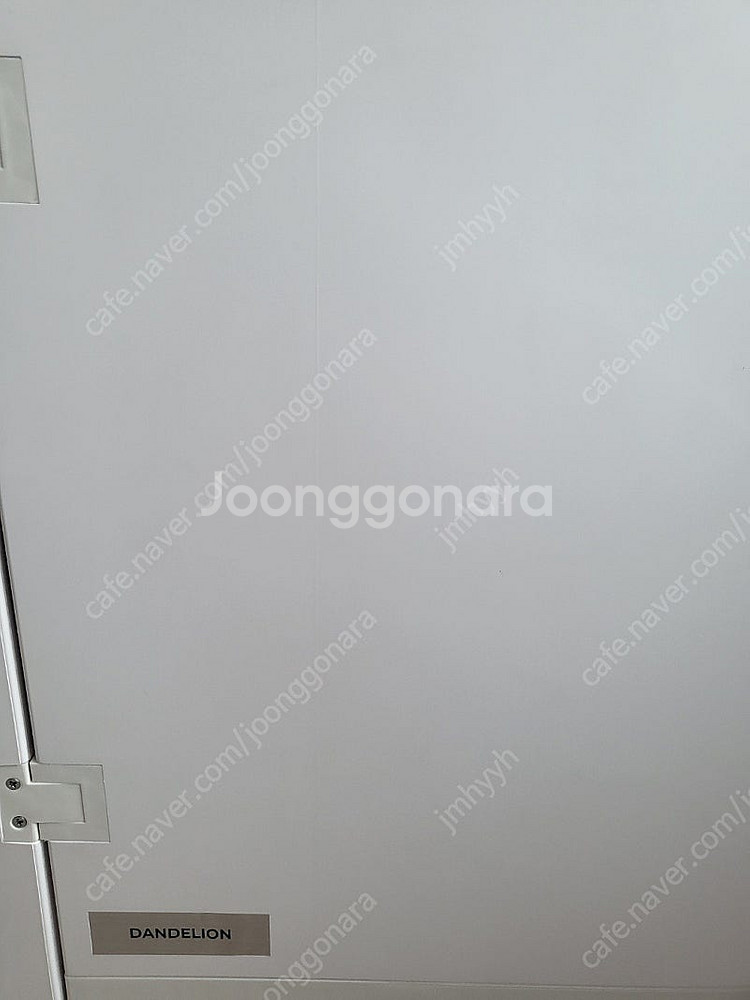 붐펫 펫드라이룸--7