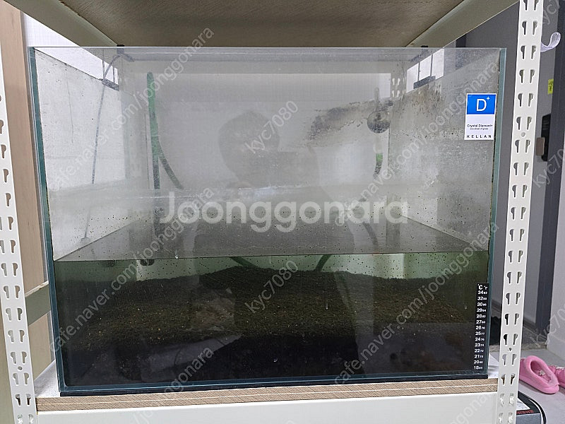 에하임 클래식 2215 판매합니다--1