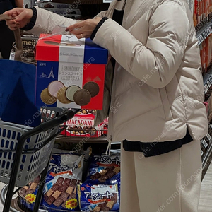 모니카 퀼팅 구스 패딩 연베이지 s
