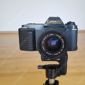캐논 T50필름카메라(인하)