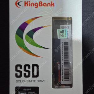 Kp200 plus 512g nvme ssd 킹뱅크 p41