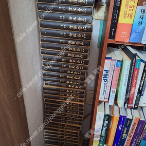 성종실록 총41권