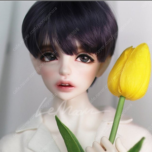 구관 르문 라이 본체