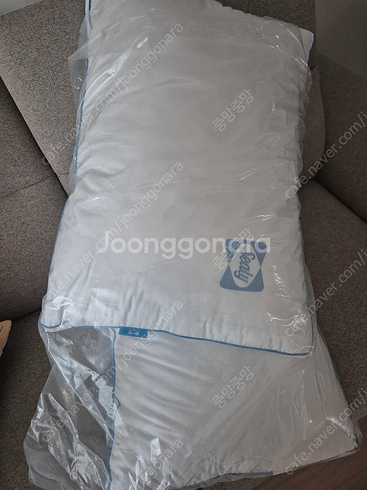 씰리 호텔식 코튼베개 새상품 2개--0