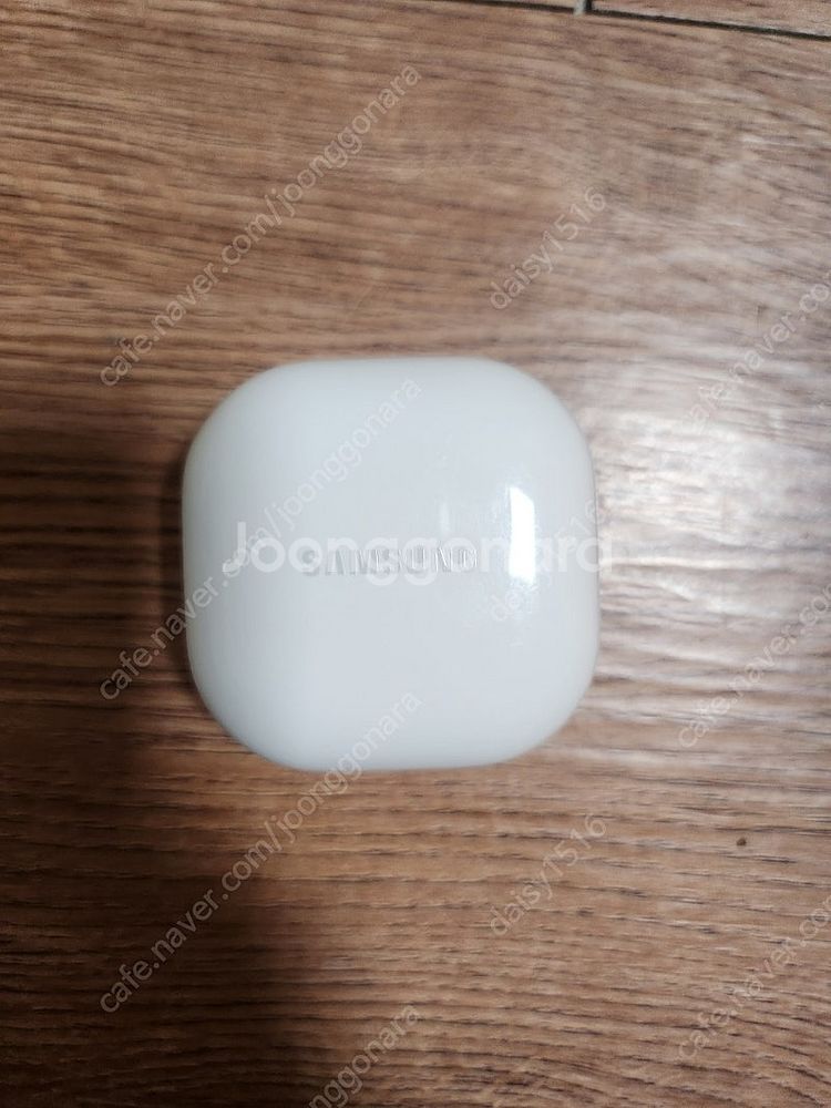 버즈2 라벤더--0