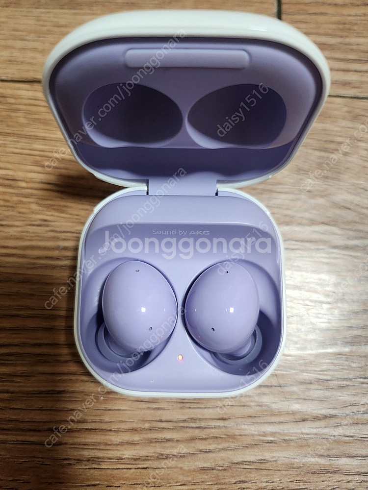 버즈2 라벤더--2