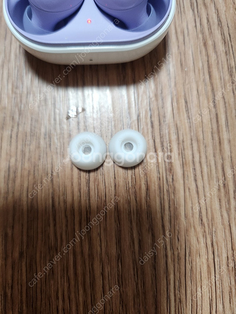 버즈2 라벤더--3