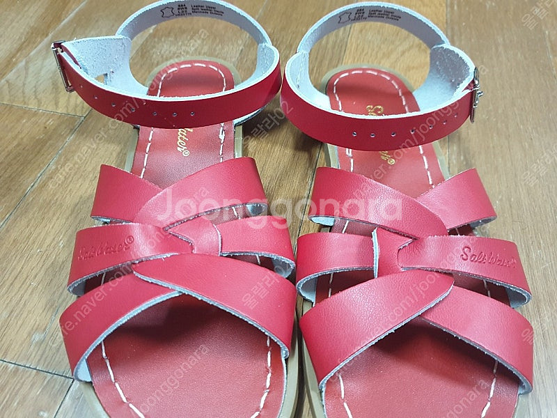 솔트워터 6w8--0
