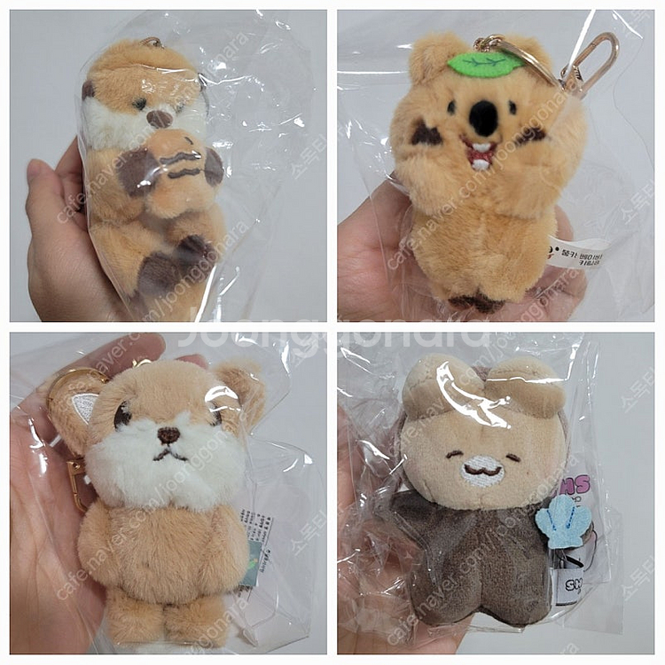 토끼 토야 여우 사막여우 해달 랏코상 키링인형--0