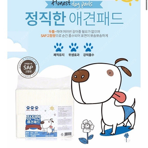정직한패드 배변패드 소형 20g 400매