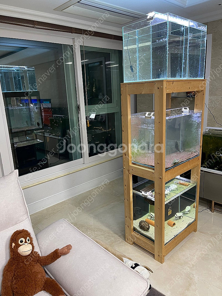 (경기 북부) 칸후, 리글라스 2자 광폭 올디아망 수조...--7