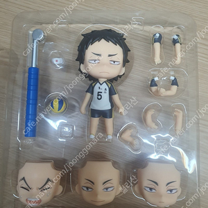 하이큐 넨도로이드 , 케이지 넨도 ,