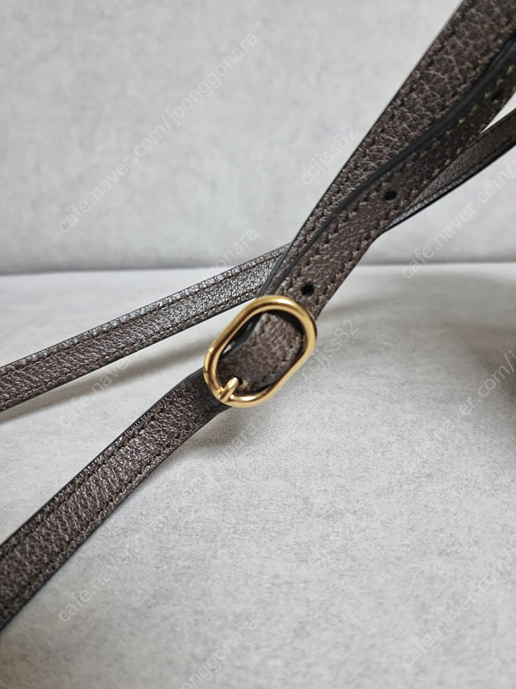 구찌 버킷백 미니 이미지