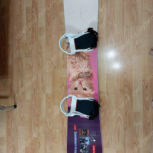 요넥스 4XP 고양이 데크 151
