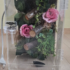 도마뱀 아크릴 사육장+주문제작 백스크린