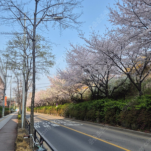 lg 삼성 오늘경기 4연석 정가양도
