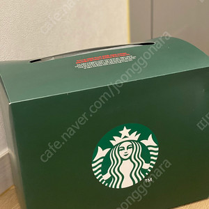 스타벅스 레이디백 그린