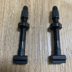 자이언트 정품 튜브리스 밸브 40mm