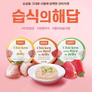 펠리코 강아지캔
