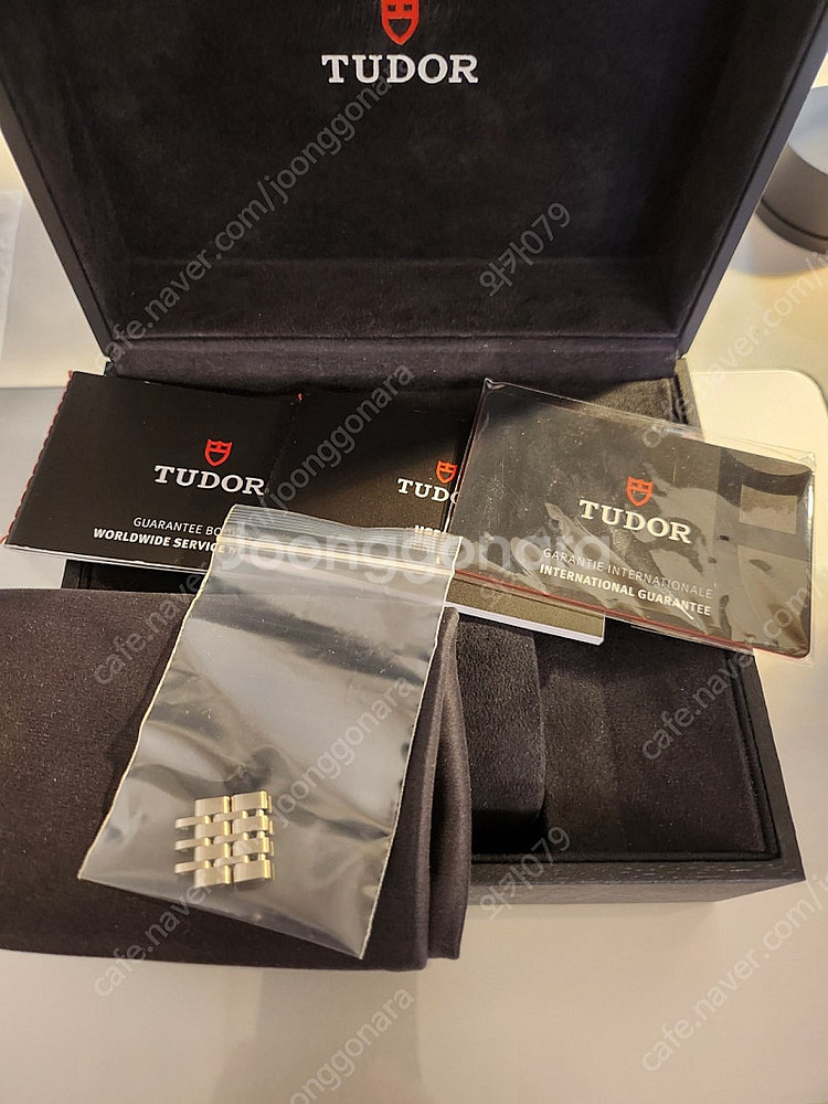 튜더 1926 36mm--4